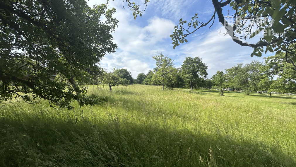 Pozemok - Horné Zahorany