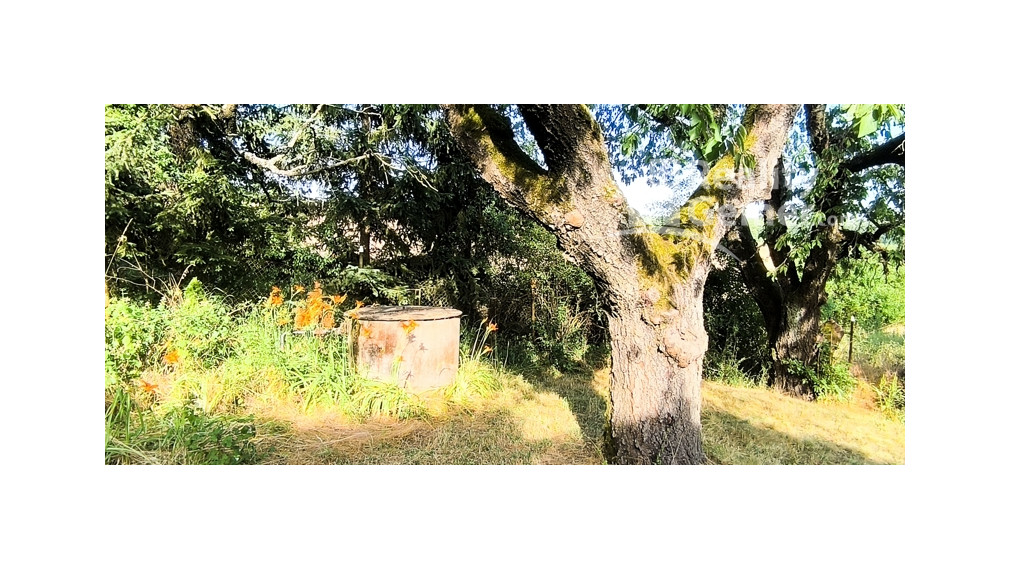 ZĽAVA - Usadlosť - „ Štavičné briežky - Prievrana“ okr. Poltár - 6.354 m2