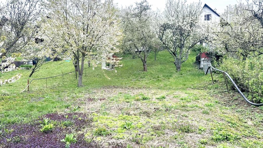 Predaj slnečnej záhradnej chatky Nižná Pokoradz časť (Araňoš)