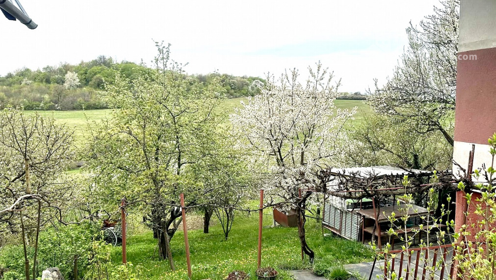 Predaj slnečnej záhradnej chatky Nižná Pokoradz časť (Araňoš)