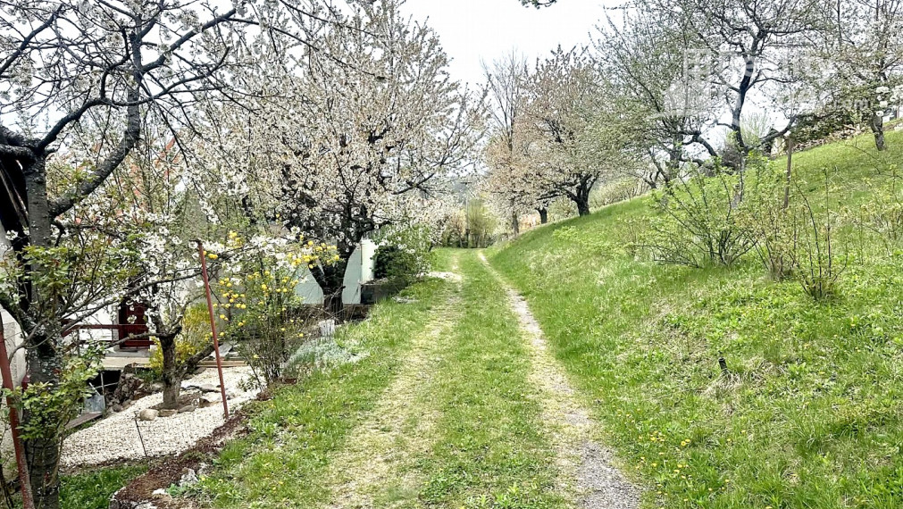 Predaj slnečnej záhradnej chatky Nižná Pokoradz časť (Araňoš)