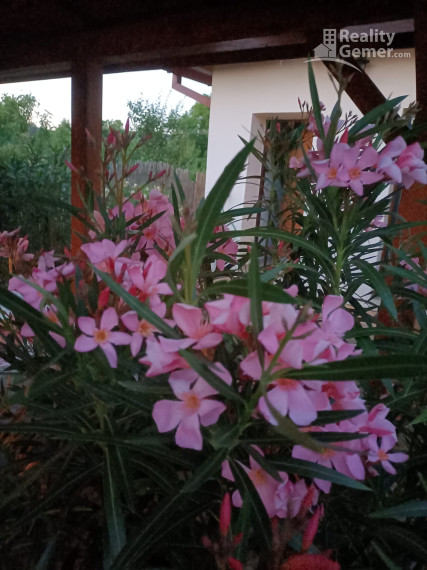 🏡 Rekreačný dom PRI VODE + bonusový rodinný dom na rekonštrukciu  BUDIKOVANY Vodná nádrž Teplý vrch.