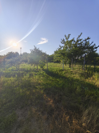 Predaj chaty v časti Vinice, Rimavská Sobota - fotografia 8