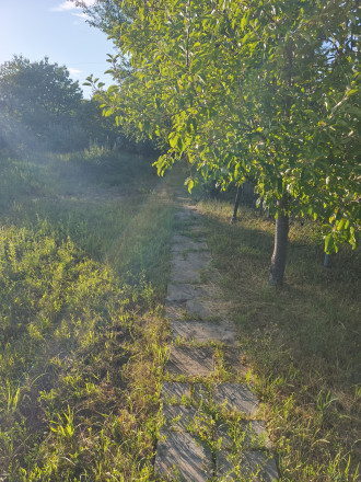 Predaj chaty v časti Vinice, Rimavská Sobota - fotografia 11