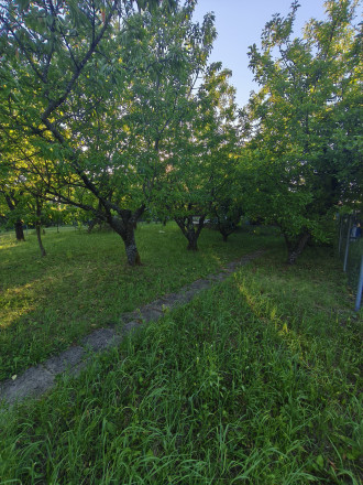 Predaj chaty v časti Vinice, Rimavská Sobota - fotografia 12