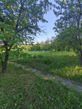 Predaj chaty v časti Vinice, Rimavská Sobota - fotografia 13