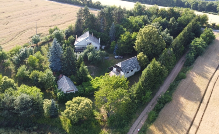 ZĽAVA ! - Usadlosť - „ Štavičné briežky - Prievrana“ okr. Poltár - 6.354 m2 - fotografia 8