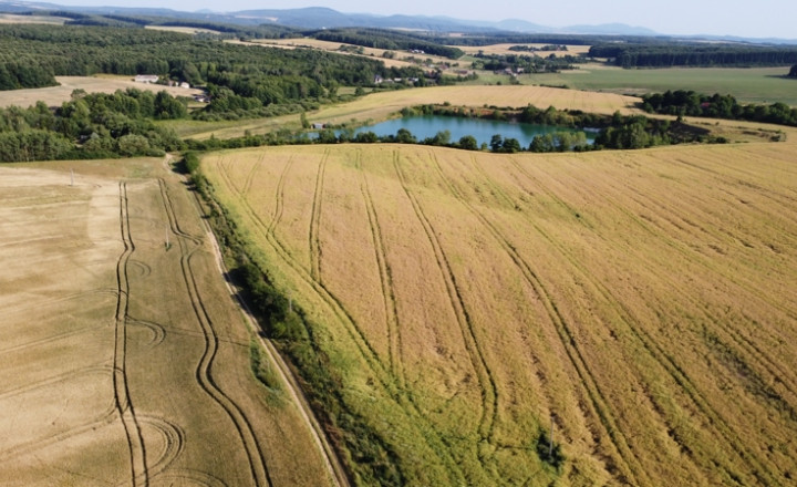 ZĽAVA ! - Usadlosť - „ Štavičné briežky - Prievrana“ okr. Poltár - 6.354 m2 - fotografia 9