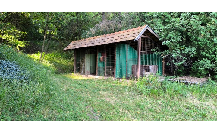 ZĽAVA ! - Usadlosť - „ Štavičné briežky - Prievrana“ okr. Poltár - 6.354 m2 - fotografia 15