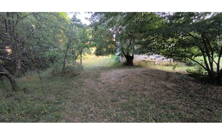ZĽAVA ! - Usadlosť - „ Štavičné briežky - Prievrana“ okr. Poltár - 6.354 m2 - fotografia 17