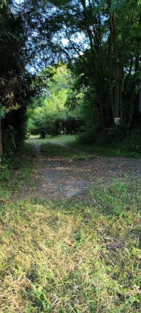 ZĽAVA ! - Usadlosť - „ Štavičné briežky - Prievrana“ okr. Poltár - 6.354 m2 - fotografia 16