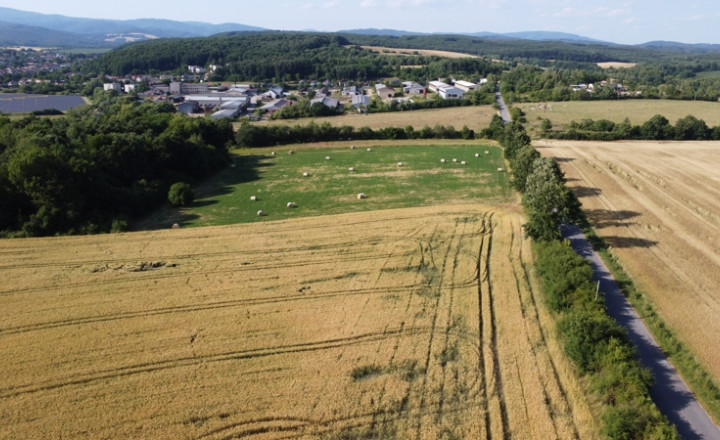 ZĽAVA ! - Usadlosť - „ Štavičné briežky - Prievrana“ okr. Poltár - 6.354 m2 - fotografia 10