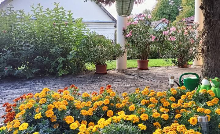 🏡 Rekreačný dom PRI VODE + bonusový rodinný dom na rekonštrukciu  BUDIKOVANY Vodná nádrž Teplý vrch. - fotografia 3