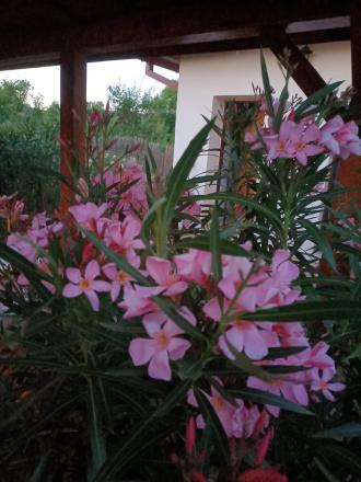 🏡 Rekreačný dom PRI VODE + bonusový rodinný dom na rekonštrukciu  BUDIKOVANY Vodná nádrž Teplý vrch. - fotografia 39